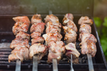 Grilled caucasus barbecue skewers. Selective focus