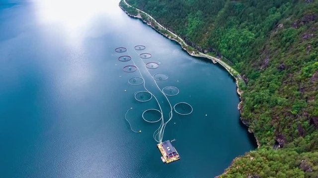 Aerial footage Farm salmon fishing in Norway