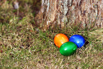 three colored Easter eggs under a tree