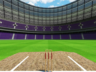 3D render of a round cricket stadium with purple  seats and VIP boxes