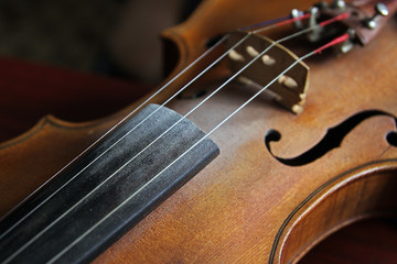 Detail of violin