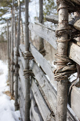 Naklejka premium viking norway