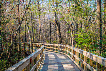Fototapeta premium Reed Bingham State Park