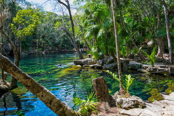 Open Mexican Cenote
