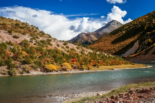 Tibetan river landscape