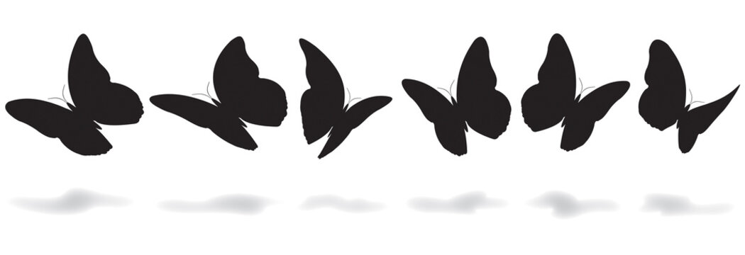 SILHOUETTE PAPILLON
