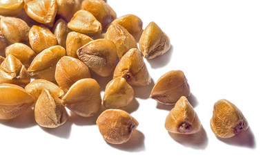 Buckwheat grain macro