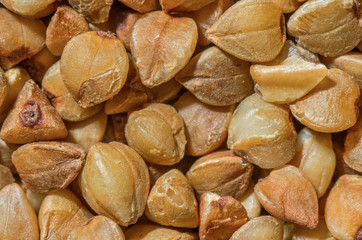 Buckwheat grain background