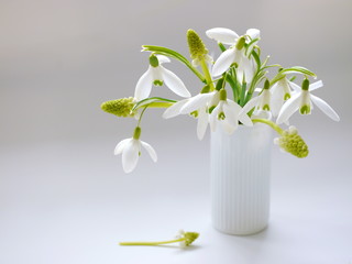 Schneeglöckchen in der Vase