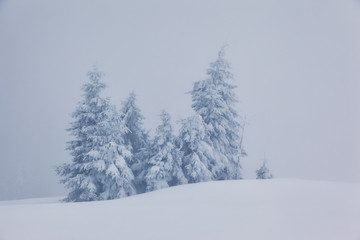 beautiful wintry landscape