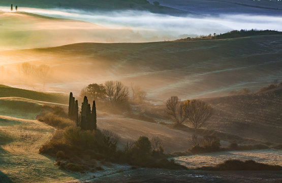 Early morning ligth in Val D'Orcia,Tuscany.