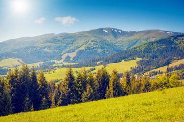 Obraz premium Fantastic summer scene