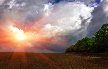 Naklejka na ściany i meble field on a background of storm clouds at sunset .