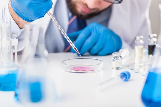 Man researcher carrying out scientific research.