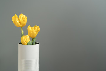 hand holding a white Bank in the Yellow tulips