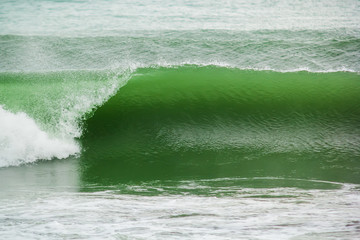 Green wave in the ocean