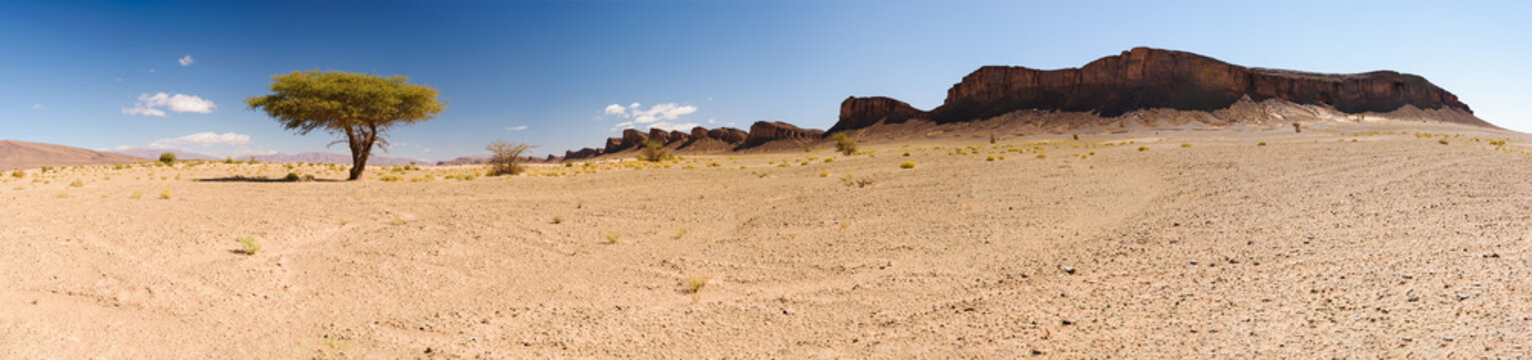 Panorama Of A Tree And Mountains, Sahara, Morocco