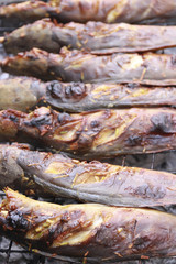 Grilled catfish - Thai Food 