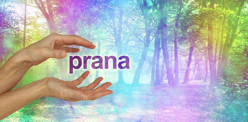 Beautiful Prana Healing Energy  - female hands with the word PRANA floating between in front of an...