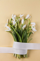 Spring bouquet of snowdrops