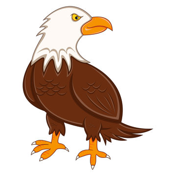 Cute Eagle cartoon
