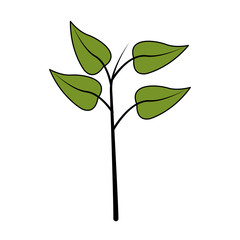 green leaf icon image vector illustration design