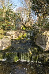 Small cascade at the park