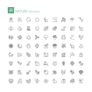 Line icons. Nature