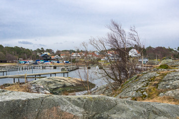Fototapeta na wymiar Björkarna i hamnen.