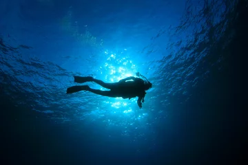 Fotobehang Scuba diving © Richard Carey