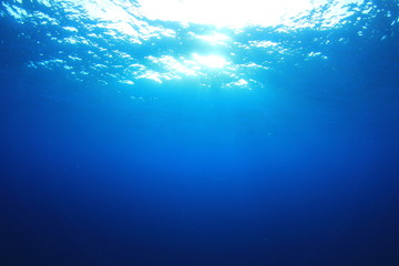 Fototapeta na wymiar Underwater blue background in ocean