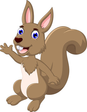 funny Cartoon Squirrel posing