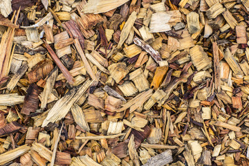 wood texture