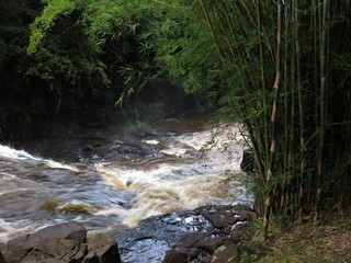 Fototapeta premium As pedras, o verde e a água.