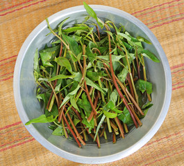 Raw fresh Morning Glory in aluminium bowl