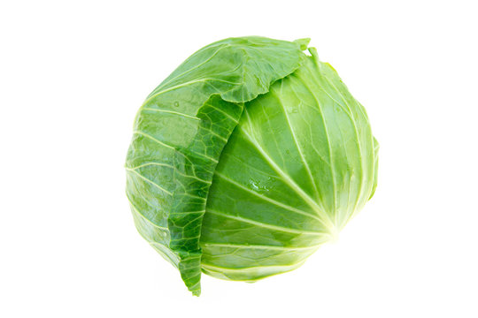 cabbage.image