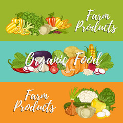 Organic vegetable farming flyers set vector illustration. Locally grown vegetable, vegan retail, fresh product. Healthy farm food advertising with broccoli, potato, pumpkin, cabbage, tomato, radish