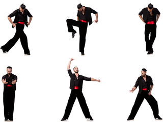 Spanish dancer in various poses on white