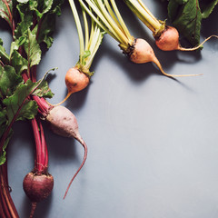 Mix of red and gold beets on grey background. Food background. Concept of healthy eating