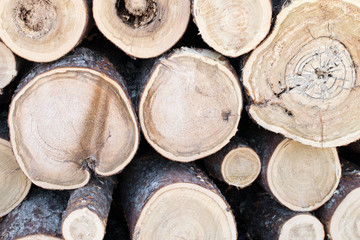 Closeup of Tamarack Log Ends