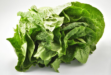 ロメインレタス