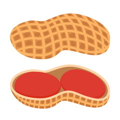 Fresh peanut. Nutshell, nuts in cartoon style. Flat natural groundnut.