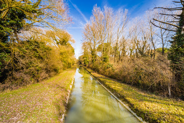 Water flowing in channel through green pinewood