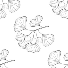 Ginkgo Biloba plant, leaf, branch, berry. Seamless pattern, medicinal plant. Hand drawn sketch illustration. Ingredient for hair and body care cream, lotion, treatment.
