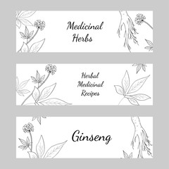 Set of three horizontal banners, labels with herbs and ginseng root, on white background, sketch style. Hand draw vintage illustration of medicinal plants. For traditional medicine, gardening.