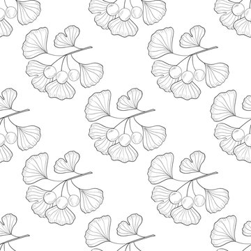Ginkgo Biloba plant, leaf, branch, berry. Seamless pattern, medicinal plant. Hand drawn sketch illustration. Ingredient for hair and body care cream, lotion, treatment.