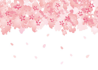 いっぱいの 桜 花 上 フラワー