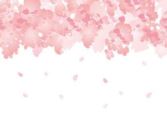 いっぱいの 桜 花 上