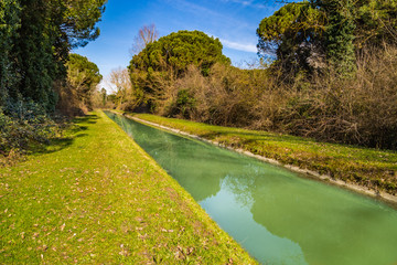 Water flowing in channel through green pinewood