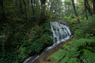 Small waterfall in Kew Mae Pan trekking route at Doi Intanon, Thailand